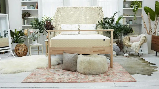 WinkBeds EcoCloud Mattress Review